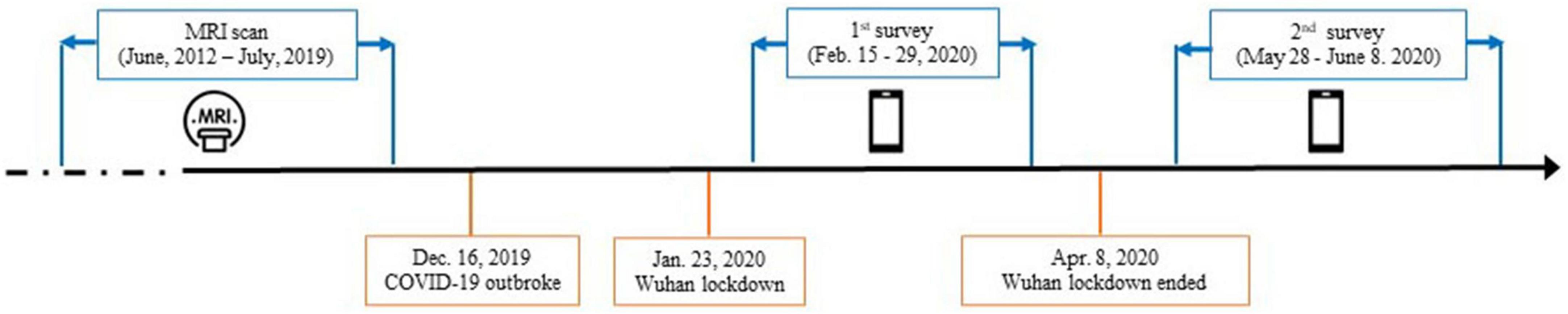 Amygdala connectivity related to subsequent stress responses during the COVID-19 outbreak